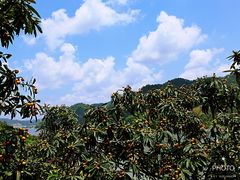 -新安江山水画廊风景区
