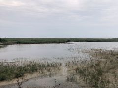 -北海金海湾红树林生态旅游区