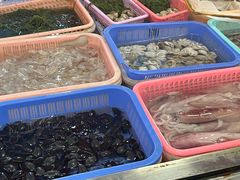 -大湾区中央湿地公园