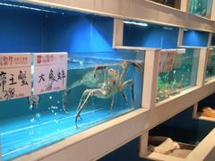 -富黎华海鲜大酒楼(正大广场店)