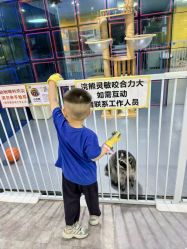 -神奇动物撸宠馆·羊驼·小浣熊·异宠(豫园店)