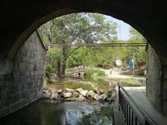 -白水寺森林公园