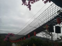 -天适樱花悠乐园