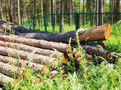 -塞罕坝国家级自然保护区