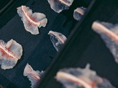-京门活鱼馆·鱼火锅(百子湾（原红庙）店)