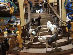 -more than meow吴止猫主题餐厅(承德 中船汇店)