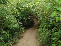 -汉长安城未央宫国家考古遗址公园