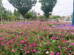 -歌斐颂巧克力小镇