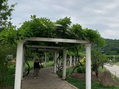 -苏州上方山国家森林公园