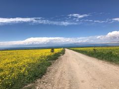 -青海湖国家重点风景名胜区