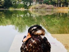 -河南省黄河迎宾馆