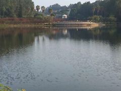 -南国桃园旅游度假区