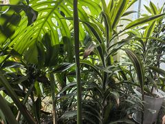 -太守宴·蘭院(天塔店)