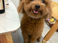 -滇野云南野生菌餐厅(陕西南路店)