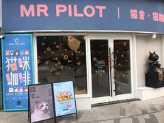 门面-飞行喵MR PILOT|猫舍·猫咖(静安大融城店)