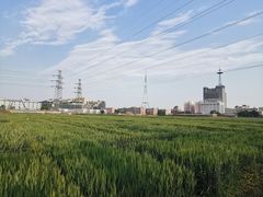 -法雅体育工厂店(皂君庙路店)
