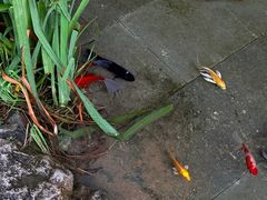 -海窝子古镇