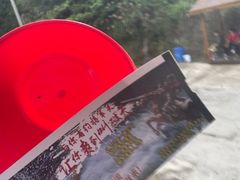 -将军关探险漂流