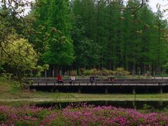 -蜀冈西峰生态公园