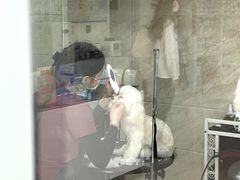 -美联众合动物医院·24h京西诊疗中心