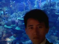 -迪拜帆船酒店海底餐厅