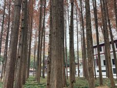 -浔庐餐厅•江西老字号•九江菜(烟水亭店)