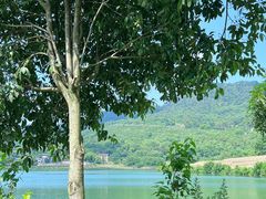 -丰盛镇响水水库