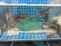 -宾朋海鲜特色美食餐厅·纯手工鲅鱼水饺(兴海路店)