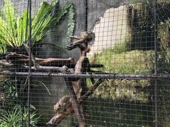 -Warung Babi Guling Ibu Oka 3