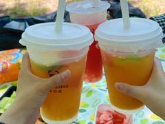 -春花秋色城市公园