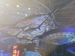 -烟台海昌鲸鲨海洋公园