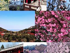 -石岛赤山风景区