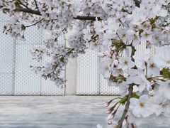 -龙美术馆(西岸馆)