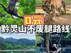 -黔灵山公园