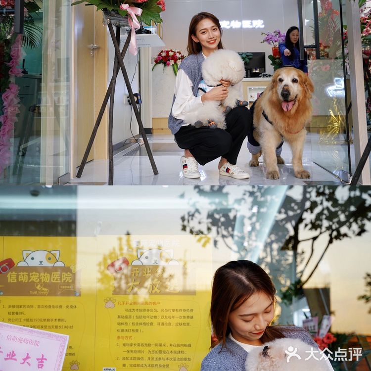 上海宠物医院良心推荐！！！！！！