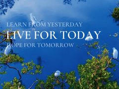 -北海金海湾红树林生态旅游区