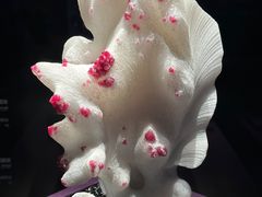 -山东博物馆