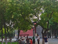 -文瀛公园