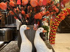-大鸭梨烤鸭(左家庄店)