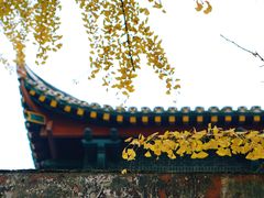 -四川大学(华西校区)