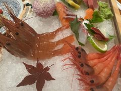 -月龍吟(朝龙汇店)