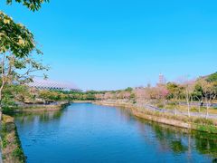 -深圳人才公园