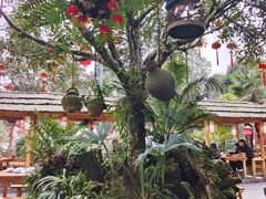 -青城甲(青城山店)