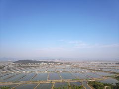 -蛇蟠岛