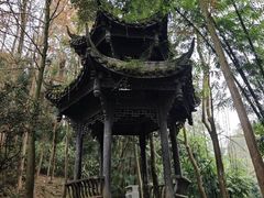 -凤栖山