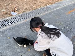 -北京中信金陵酒店
