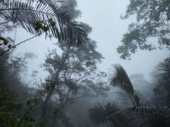 -七仙岭温泉国家森林公园