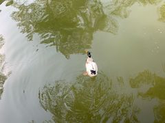 -碑林公园