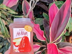 -茶理宜世(东方宝泰店)