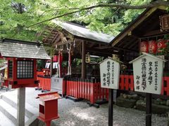 -野宫神社